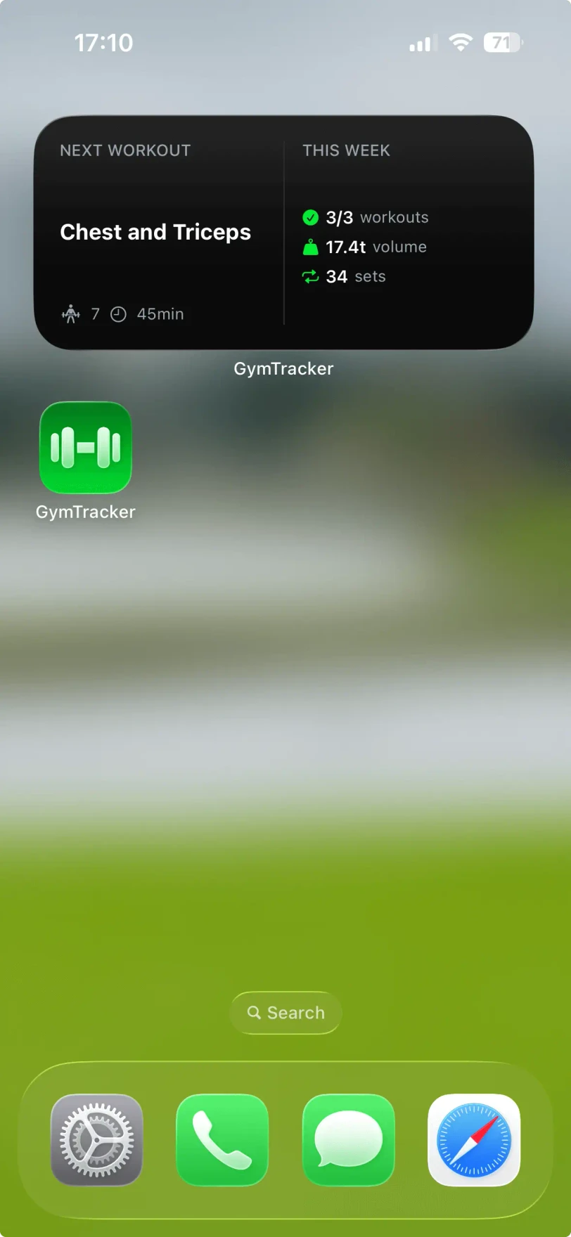 iOS home screen widget